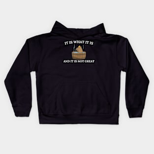 Capybara It Is What It Is And It Is Not Great Kids Hoodie